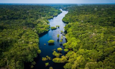 DIA MUNDIAL DO MEIO AMBIENTE MOBILIZA AÇÕES EM TODO O BRASIL