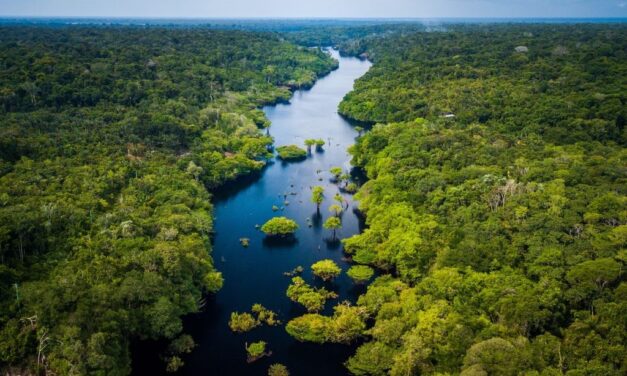 DIA MUNDIAL DO MEIO AMBIENTE MOBILIZA AÇÕES EM TODO O BRASIL
